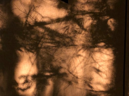 photograph entitled Tent Shadows by Kimberly Chesebro