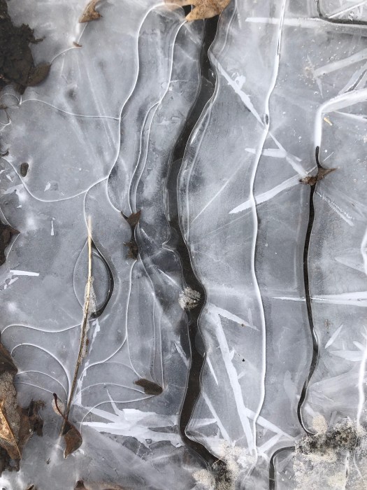 photograph entitled Ice by Kimberly Chesebro